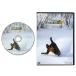 ��DVD�bLET�fS GO SNOWBOARD! 7 ���b�c�S�[�X�m�[�{�[�h�I(vol7)(���C�h�x�^�[�E�G���W���C�����O)
