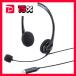  Sanwa Supply USB headset MM-HSU09BK