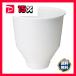 TANOSEE�C���T�[�g�J�b�v L 250ml 1�Z�b�g�i2000�F50�~40�p�b�N�j