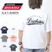 GENUINE Dickies WFjC fBbL[Y hJ vg TVc T rbOVGbg I[o[TCY Y 4278-9406