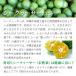 �_��s�g�p �R���V�[�N���[�T�[ 720ml�~3�{�Z�b�g �������� �R���V�[�N���[�T�[ ����Y �V�[�N���[�T�[ �ʏ`100% ���t ���� �X�g���[�g �V�[�N�A�[�T�[ ���΂� �֘A�摜3