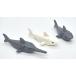̵LEGO Shark and Sawfish Combo Pack with Gills and Printed Eyes (1x Dark Gray Sawfish, 1x White Shark, 1x Dark Gray Shark) by LEGO¹͢
