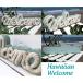  outlet welcome board Hawaiian wellcome сообщение дерево подставка морской Hawaiian смешанные товары Welcome