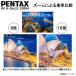 8�{�`16�{ �Y�[���o�ዾ �y���^�b�N�X PENTAX �^���N���[ UP 8-16x21 ZOOM �O���[���i�R���T�[�g ���C�u�p �X�|�[�c�ϐ� �������߁j���S�̃��[�J�[���� �֘A�摜4
