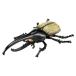  Takara Tommy [aniaAS-38 Hercules oo Kabuto ] насекомое настоящий двигаться фигурка игрушка 3 лет и больше игрушка безопасность стандарт соответствие требованиям ST Mark 