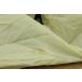 �X�m�[�s�[�N SNOWPEAK AMENITYDOME ���j�e�B�h�[��M �e���g �L�����v�p�i ����E���� �z���s�� �� C1D ���� �֘A�摜2