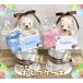  diapers cake Mini diapers cake tea color celebration of a birth bread perth pretty hand made gift free shipping 