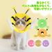�G���U�x�X�J���[ �L �� �\�t�g ���r�ߖh�~ �X�g���X�y�� �y�� �� �L ���킢�� �������낢 ������ �_�炩�� �ȒP���� ���^ �p�㕞