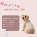 ���� �~ �����₷�� �L�� �{�A ���܂���񃏃b�t���^���N�g�b�v �ێ� ���Ȃ� �L�k�� �y�b�g�O�b�Y���X ��񂲂̂ق��� �֘A�摜4