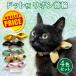 �L �� ��� �A�E�g���b�g 4�F�Z�b�g ���{�� �h�b�g�� ���^�� ���^�� ���킢�� ��  ��t�� �l�R �˂� �y�� �y�b�g�O�b�Y���X ��񂲂̂ق���