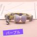 ��� �L �q�� �� ������� ���{�� ���킢�� �� �L�̎�� �V���v�� �L�p �q�L ��t�� �y�� �y�b�g�O�b�Y���X ��񂲂̂ق��� �֘A�摜4