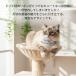 �L ��� �q�L �Z�[�t�e�B�o�b�N�� ������� ���킢�� �� �L�̎�� �V���v�� ���킢�� �L�p  �y�� �y�b�g�O�b�Y���X ��񂲂̂ق��� �֘A�摜1