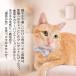 �L ��� �q�L �Z�[�t�e�B�o�b�N�� ������� ���킢�� �� �L�̎�� �V���v�� ���킢�� �L�p  �y�� �y�b�g�O�b�Y���X ��񂲂̂ق��� �֘A�摜5