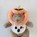  Halloween собака кошка собака для кошка для шляпа нагрудник менять оборудование тыква домашнее животное товары специализированный магазин яблоко. ...