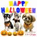  Halloween собака кошка нагрудник ручная работа ... . осень-зима новый продукт Halloween нагрудник собака одежда домашнее животное осень-зима собака одежда домашнее животное домашнее животное товары специализированный магазин яблоко. ...