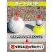80���肨���p �싅��p �t�@�X�g�V���g�� 80�� ��[�p �o�b�e�B���O���K �싅�V���g�� �o�b�e�B���O�V���g�� �싅��p�V���g�� �싅�p ���� �֘A�摜2