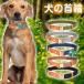 �� ��� �v ���p��� ���A�ɗD���� �\�t�g�p�b�h ���b�V�� ��v �V���v�� ������� ���킢�� �L���b�g �y�b�g�O�b�Y ���^�� ���^�� ���̎��