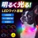  shines necklace necklace shines dog small size dog medium sized dog large dog USB rechargeable night cheap adjustment possibility Rainbow pet LED light light necklace walk dog for cat for light size adjustment possible 