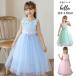 �q���h���X ���\�� �����O ������ �����s�[�X �~���g�O���[�� ���� �W���j�A ���̎q �s���N ���F �R���N�[��  160 150 140