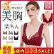 �֥饸�㡼 �Υ�磻�䡼 �ʥ��ȥ֥� �졼�� ���� �ե���ȥۥå� �礭�������� ���ۥå� ���ѥ֥� �֥� �դ��� ���ե� ����ʡ� 30�� ����