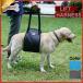  собака уход подъёмник Harness приспособление для ходьбы ходьба поддержка ремень . собака уход sinia. собака 