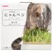  HARIO (HARIO) кошка . культивирование комплект ...beji комплект 