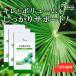 ノコギリヤシ 約1か月分×3袋 C-142-3 サプリメント 送料無料