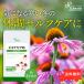  echinacea bead approximately 3. month minute T-604 supplement health supplement exemption .