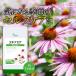  echinacea approximately 1. month minute C-117 supplement health 