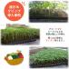 �ڂ��؃N���b�v �y200��/���a1.8mm�Ή����a1.8�`2.1mm�z���{�� RIRAI �i�X�� �ڂ��� �c �c�c �ږ� �ǐՉ\ �l�R�|�X���� �֘A�摜2