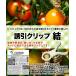 �U���N���b�v ��22���y 20��/���{�_�ƐV���f��/RIRAI �z ���|�N���b�v �K�[�f�j���O �U�� ���� ���{�� �� �֘A�摜1