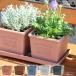 �A�ؔ� ������� �v���X�`�b�N �������� gardens �G�R�|�b�g�p�^ 120 Arbre