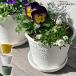 �A�ؔ� ������� �v���X�`�b�N ���� �G�R�|�b�g��^ 6�� 2.1L ���a18cm ����12.5cm �������� gardens �p�s�G