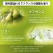 NILE �N���V�b�N�{�f�B�[�\�[�v �l�ߑւ��p 370ml �p�E�` �T�{�� �ێ� �q���� �{�f�B�\�[�v �j�I�C�P�A �V�����[�I�C�� �֘A�摜4