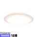 LED󥰥饤 12 ꥹ CL12D-S1 Ĵ  ץ ١åǥ ⥳Ʊ CL12DS1