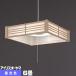 ڥȥ饤  6 LED PL6D-J2 ꥹ Ĵ  岼ȯ ⥳ ¼ ¼  ̵