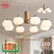  chandelier ceiling light stylish Northern Europe lighting equipment led blow . coming out pumpkin lamp shade branch type 5 light 8 light ceiling light dining living antique 