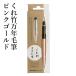 Foto di Fountain Calligraphy Pen