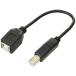  изменение эксперт USB B( мужской ) - B( женский ) удлинение кабель [ 20cm ] USBBA-BB20