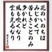  Hayashi Fumiko. название .[ цветок. .. .. .....,..... только много ..., способ . дуть . становится,.. светится становится ] рукописный текст . каллиграфия карточка для автографов, стихов, пожеланий сумма | прием заказа последующий шерсть кисть автограф 