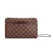  Louis Vuitton солнечный Louis Damier ручная сумочка Damier парусина N51993 Brown мужской LOUIS VUITTON б/у 