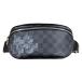  Louis Vuitton ссылка bam сумка сумка-пояс Damier gla Fit парусина N40295 черный мужской LOUIS VUITTON б/у 