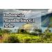  Indonesia Mandheling G1a che 