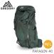 [ параллель импортные товары ] Gregory рюкзак Paragon 40L ML rental ke-do зеленый GREGORY PARAGON 40[ бесплатная доставка ( часть регион за исключением )]