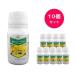 10�Z�b�g  �I�����[�����t���A�u�� 250ml �E�ۍ� �Y���a �����a