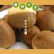 �t���[�c�啟 �L�E�C�啟 6�� ������ �啟 �Â� �V�N ���Q �f�U�[�g �嗱 �M�t�g ���蕨 �l�C �t���[�c �ʕ� �L�E�C6 �֘A�摜1