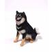 1/6�T�C�Y �΂��Č� ���΂݃C�k ���ă��A���t�B�M���A���������u�� �C�k�D���v���[���g�A���iJXK-075A �֘A�摜3