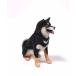 1/6�T�C�Y �΂��Č� ���΂݃C�k ���ă��A���t�B�M���A���������u�� �C�k�D���v���[���g�A���iJXK-075A �֘A�摜4