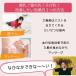 �i�C�g�u�� ���킢�� 2�� �Z�b�g ��� ���� �傫�� �i�C�g�u�� ���났 �ӂ����� �m�����C���[ �o�X�g�A�b�v ���C�����X�u�� ���錓�p �֘A�摜3