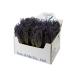  life. tree tu Roo lavender bundle 24 bundle dry flower interior fragrance high 